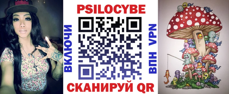 Псилоцибиновые грибы Psilocybe  Белгород 